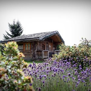 Hôtel Le Manoir des Montagnes